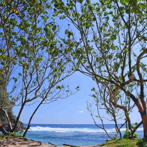 pantai batu bengkung