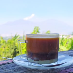 kopi sontoloyo