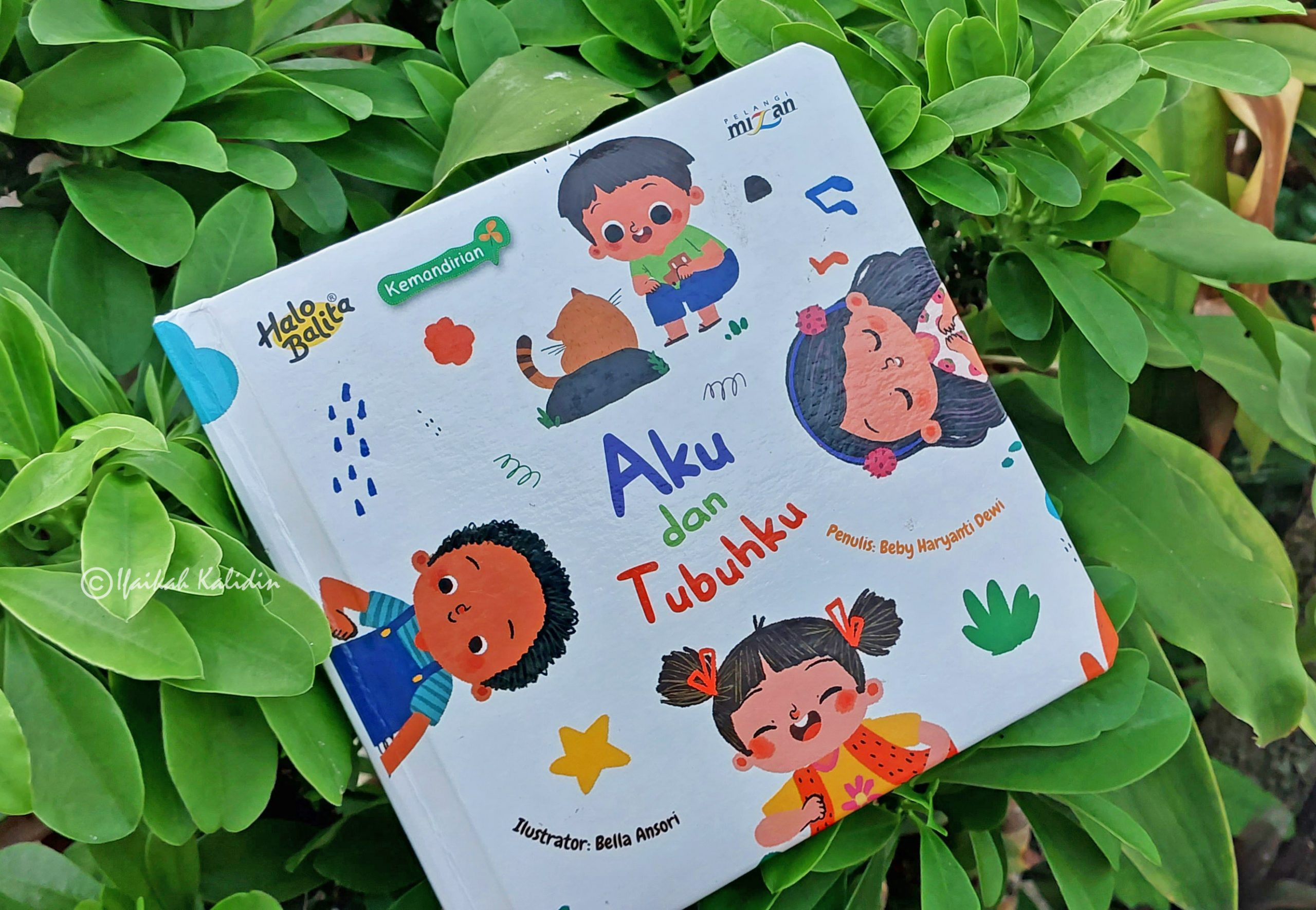 Review Buku Anak, Aku dan Tubuhku - Pelangi Mizan - Carèta Embuk