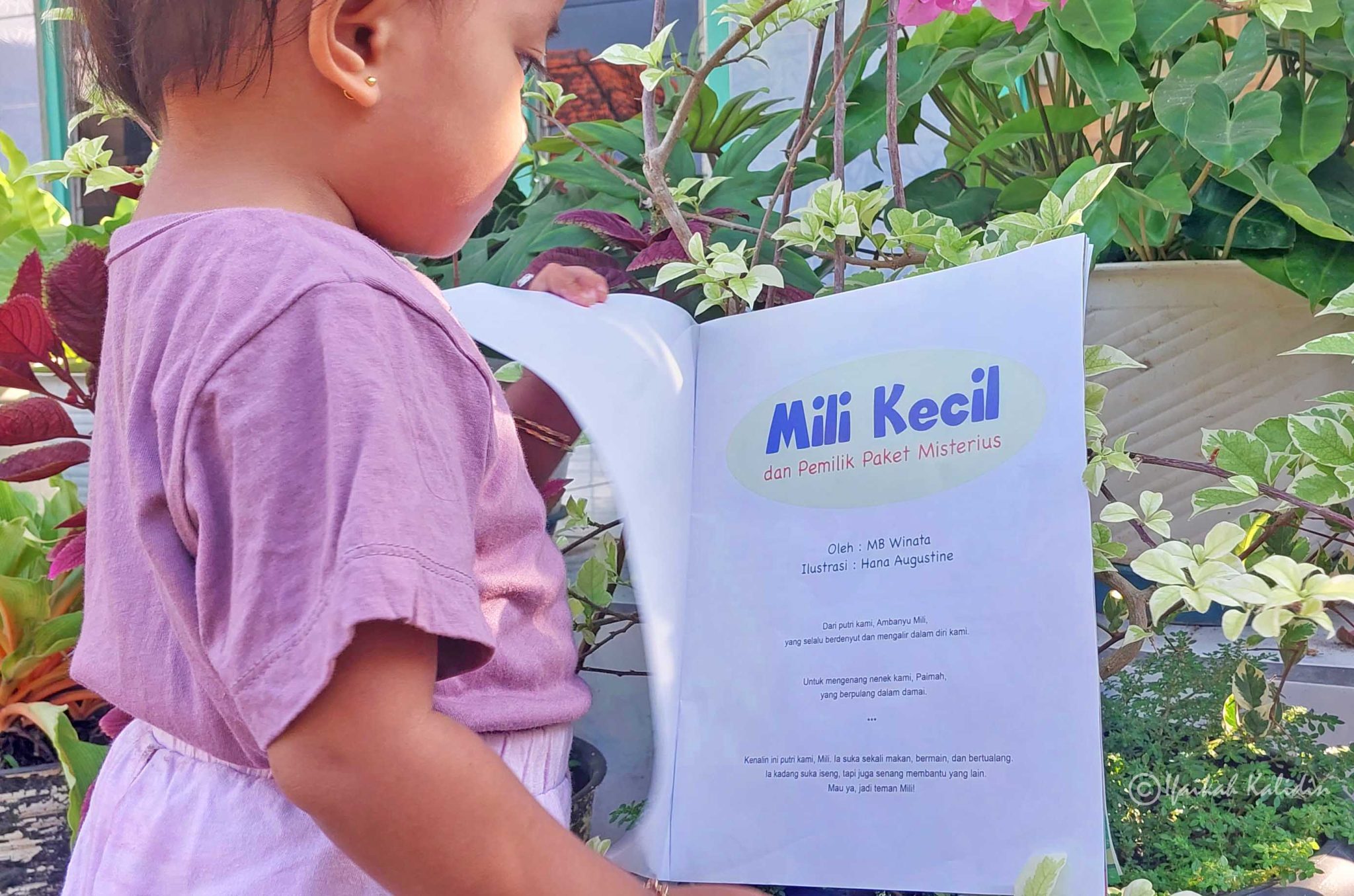 Cerita Buku Mili Kecil dan Pemilik Paket Misterius - Carèta Embuk