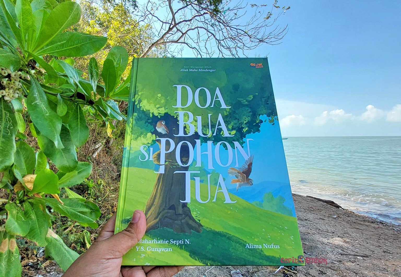 Cerita Buku Doa Bua Si Pohon Tua - Penerbit Growtheseed - Carèta Embuk